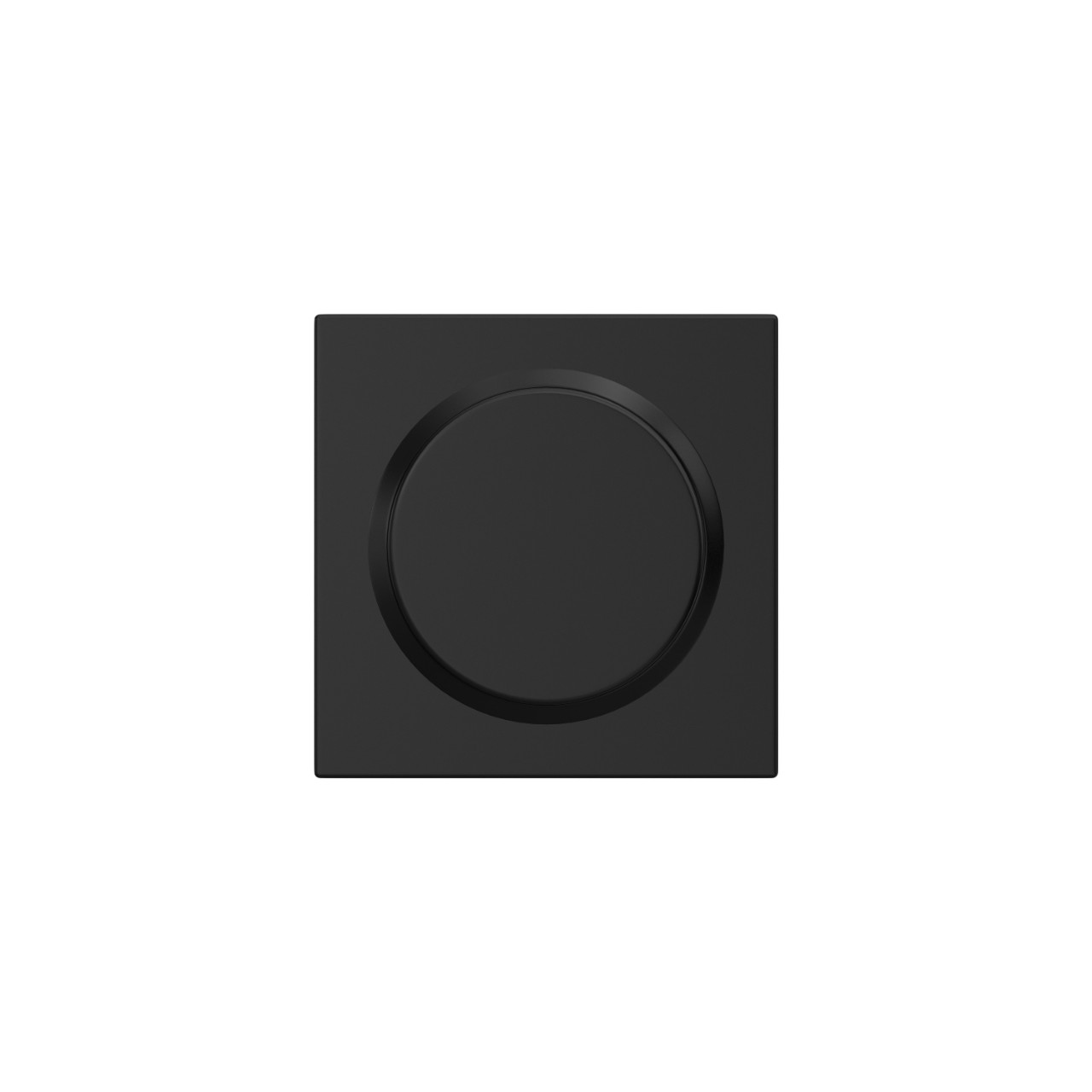 Custom Bowery Non-Turning Knob