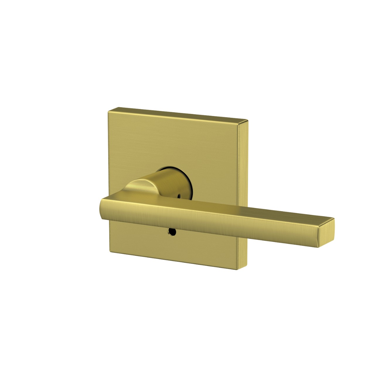 Custom Latitude Non-Turning Lever