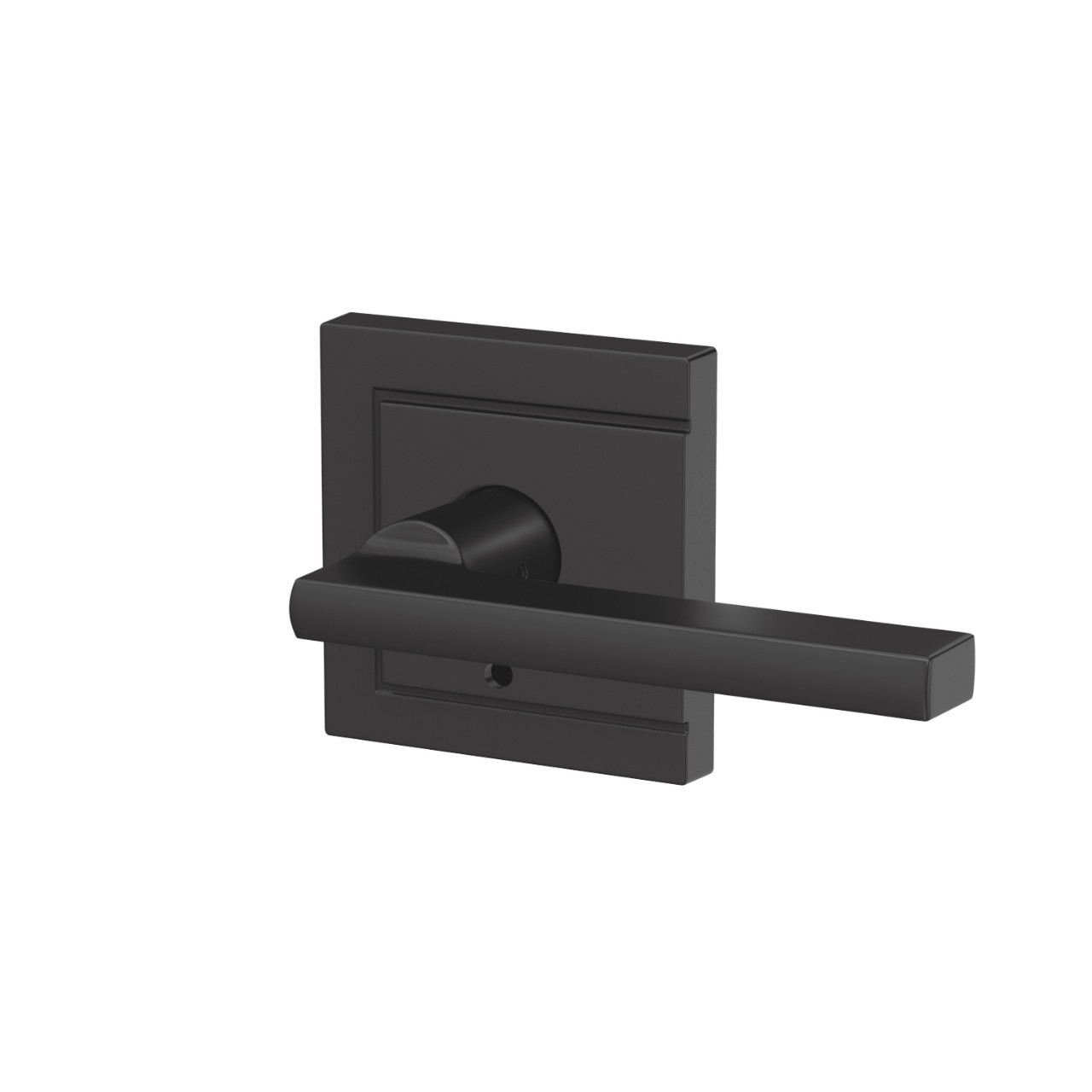 Custom Latitude Non-Turning Lever