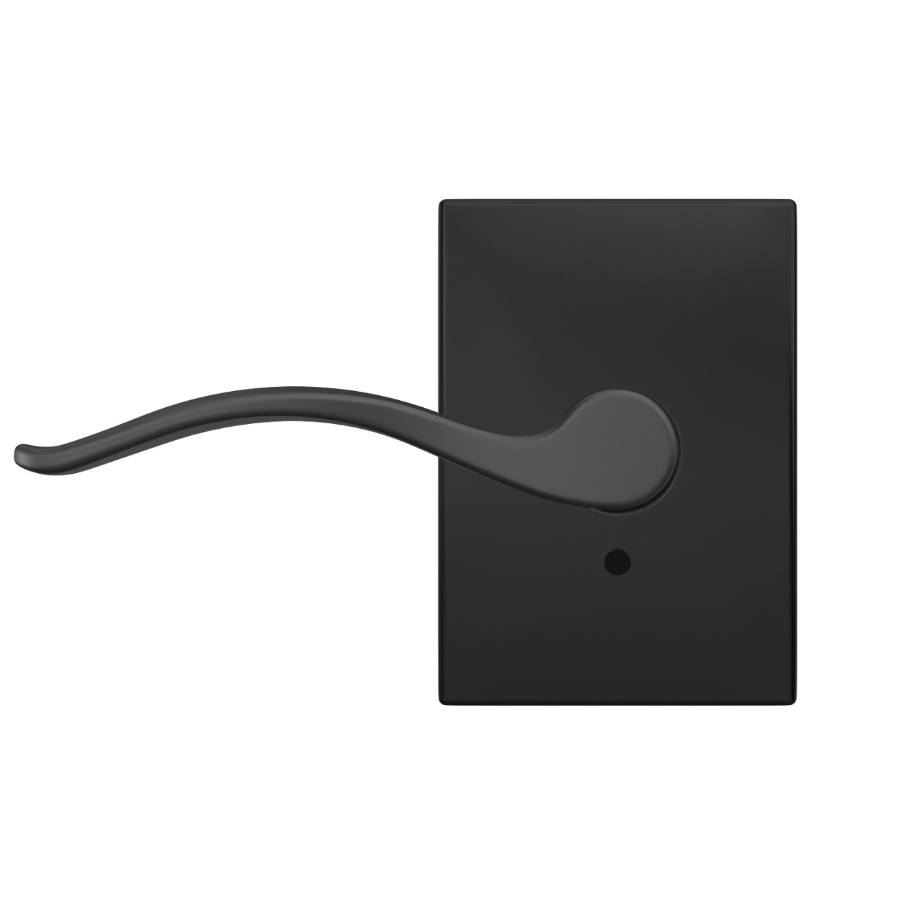 Custom Pennant Non-Turning Lever with Century Trim