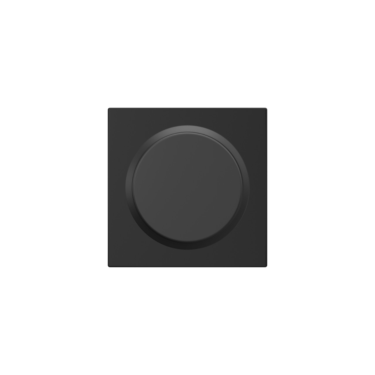 Bowery Non-Turning (Dummy) Door Knob with Collins Trim